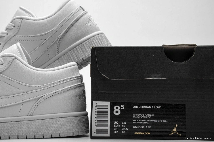 1 553558-170 Jordan Low Pure Platinum Retro  1006